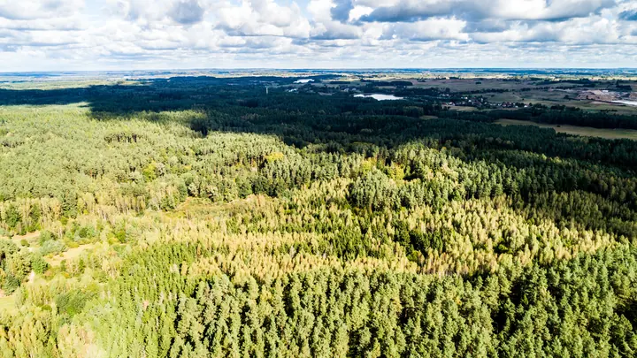 Teren Letniska Mazurskiego — zdjęcie 4